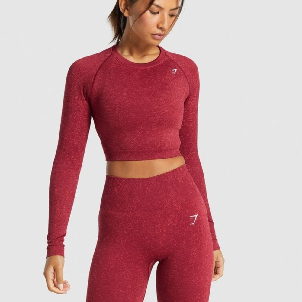 Gymshark ADAPT FLECK SEAMLESS LONG SLEEVE CROP TOP